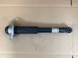 Lexus NX 2022-2026 Rear Shock Absorbers - 1