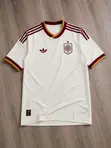 Spain Home and Away Kits - 1