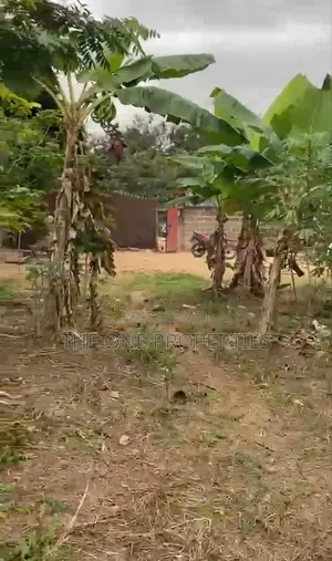 1 Acre (4 Plots) Roadside Land for Sale at Kotoku Papase