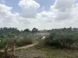 Titled 2 Plots Main Roadside Land, Dodowa - 3