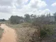 Titled 2 Plots Main Roadside Land, Dodowa - 5