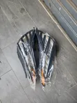 Hyundai Tucson 2024 Day Running Light - 3