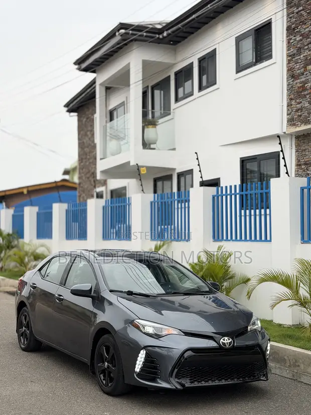 Toyota Corolla LE Eco 2019 Gray - 1
