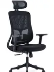 Ergonomic Office Chair with Adjustable Headrest & 3D Armrests - 1