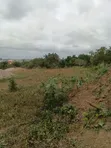 Two Plots of Land for Sale in Techiman Wiraso - 3