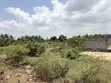 Titled 1 Plot Residential Land in Gated Community, Amrahia - 5