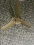 Bajaj Ceiling Fan - Gold - 2