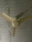 Bajaj Ceiling Fan - Gold - 3