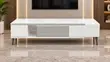 Modern White TV Stand - 1