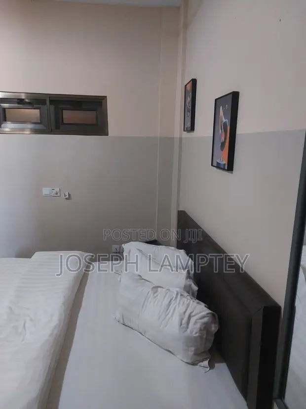 Furnished Studio Apartment for Rent in Westland, Police Station Area - 1
