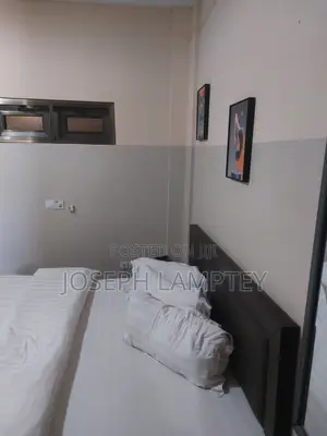 Furnished Studio Apartment for Rent in Westland, Police Station Area