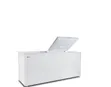 Sigma 460L Chest Freezer Double Door - 2