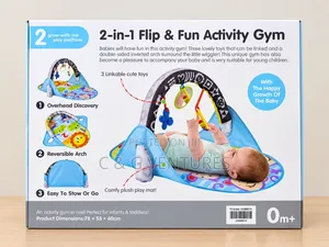 2-in-1 Flip Fun Activity Gym