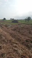 Farm/Residential Land for Sale, Aburi-Nsawam - 2