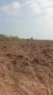 Farm/Residential Land for Sale, Aburi-Nsawam - 3