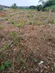 Farm/Residential Land for Sale, Aburi-Nsawam - 4