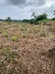 Farm/Residential Land for Sale, Aburi-Nsawam - 5