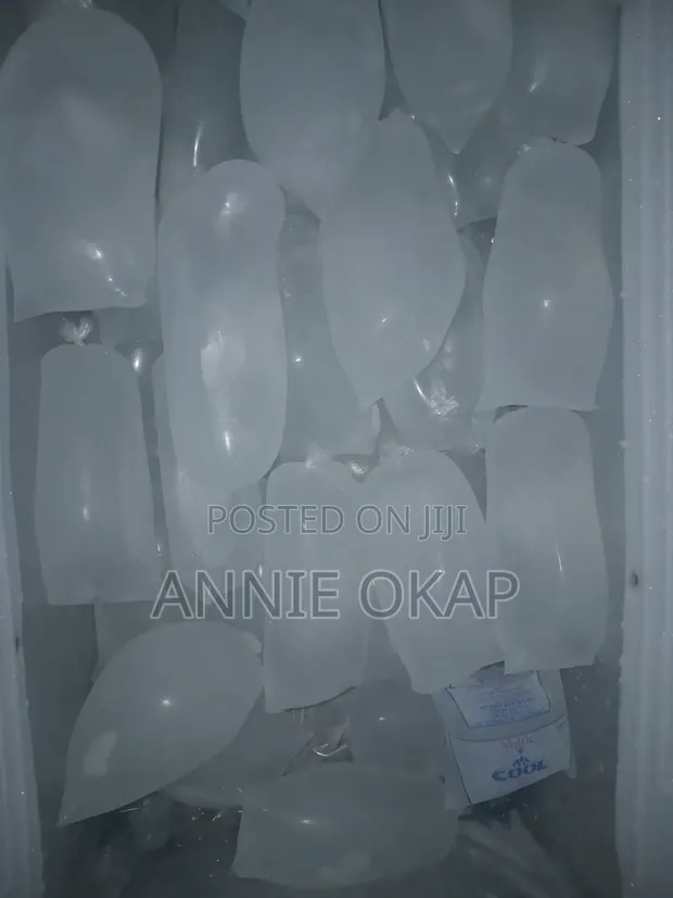 Ice Blocks - Purified Water - 1
