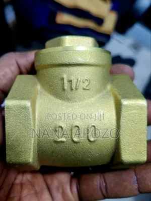 Gate Non-Return Valve, 1 1/2 Inch