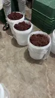 Garri, Koi Fish, Sweetener, Black Tobacco - 4