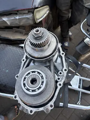 Nissan Gearbox Chain - Sentra, Rogue, Juke