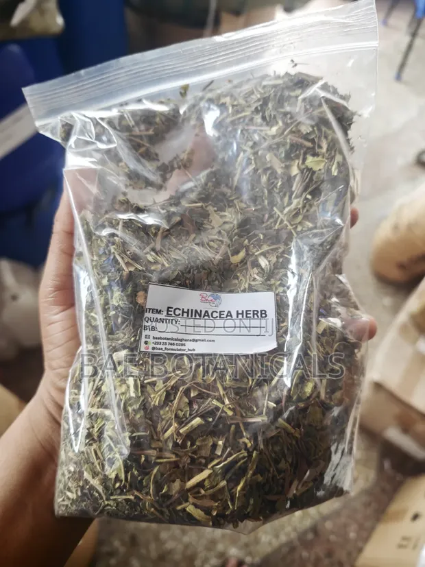 Echinacea Herbs for Immune Support - 1