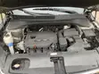 2019 Kia Sorento 2.4L LX AWD SUV - 1