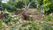 Residential Plot for Sale in Obuasi Adaase - 2