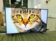 JVC 55-inch Smart LED TV - 5