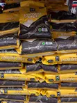 Member's Mark Thai Jasmine Rice - 11.34 Kg - 2