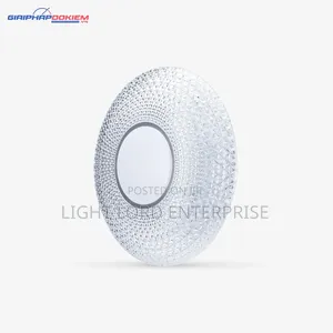DZZG 400mm LED 3-Color Ceiling Light