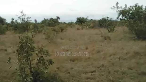 25 Acres Genuine Land for Sale at Shai Hills - 1
