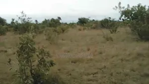 25 Acres Genuine Land for Sale at Shai Hills