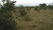 25 Acres Genuine Land for Sale at Shai Hills - 4