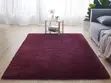Fluffy Centre Carpet - 4