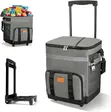 Insulated Rolling Cooler Bag with Wheels - 4