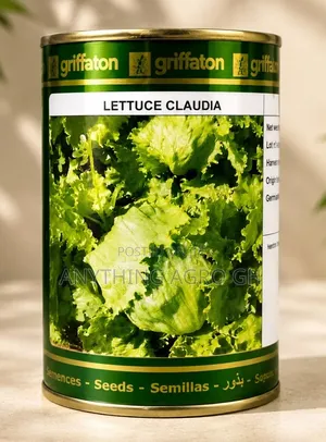 Lettuce Claudia Seeds (100g)