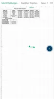 Excel Business Records Services by Smart Sheets Solutions - 5