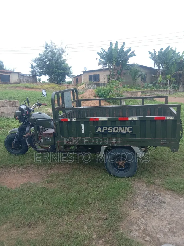 Apsonic AP150ZH-200 Tricycle 2024 Green - 1