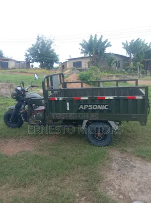 Apsonic AP150ZH-200 Tricycle 2024 Green