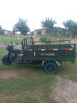 Apsonic AP150ZH-200 Tricycle 2024 Green - 1