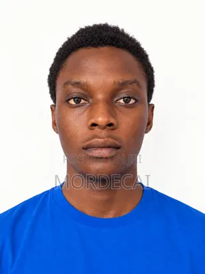 Company or Personal Driver CV