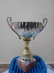 Football Trophy - Italian Premium - 1