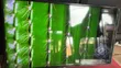 Samsung 43-Inch QLED Smart TV - 4