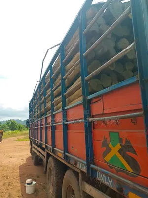 Machine Treated Light Poles