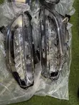 Honda Civic Headlights (2016-2020) - LED - 1