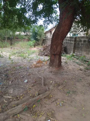 Half Plot of Land for Sale at Asofan