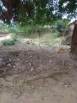 Half Plot of Land for Sale at Asofan - 2