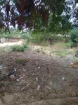 Half Plot of Land for Sale at Asofan - 3