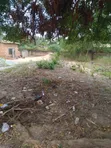Half Plot of Land for Sale at Asofan - 4